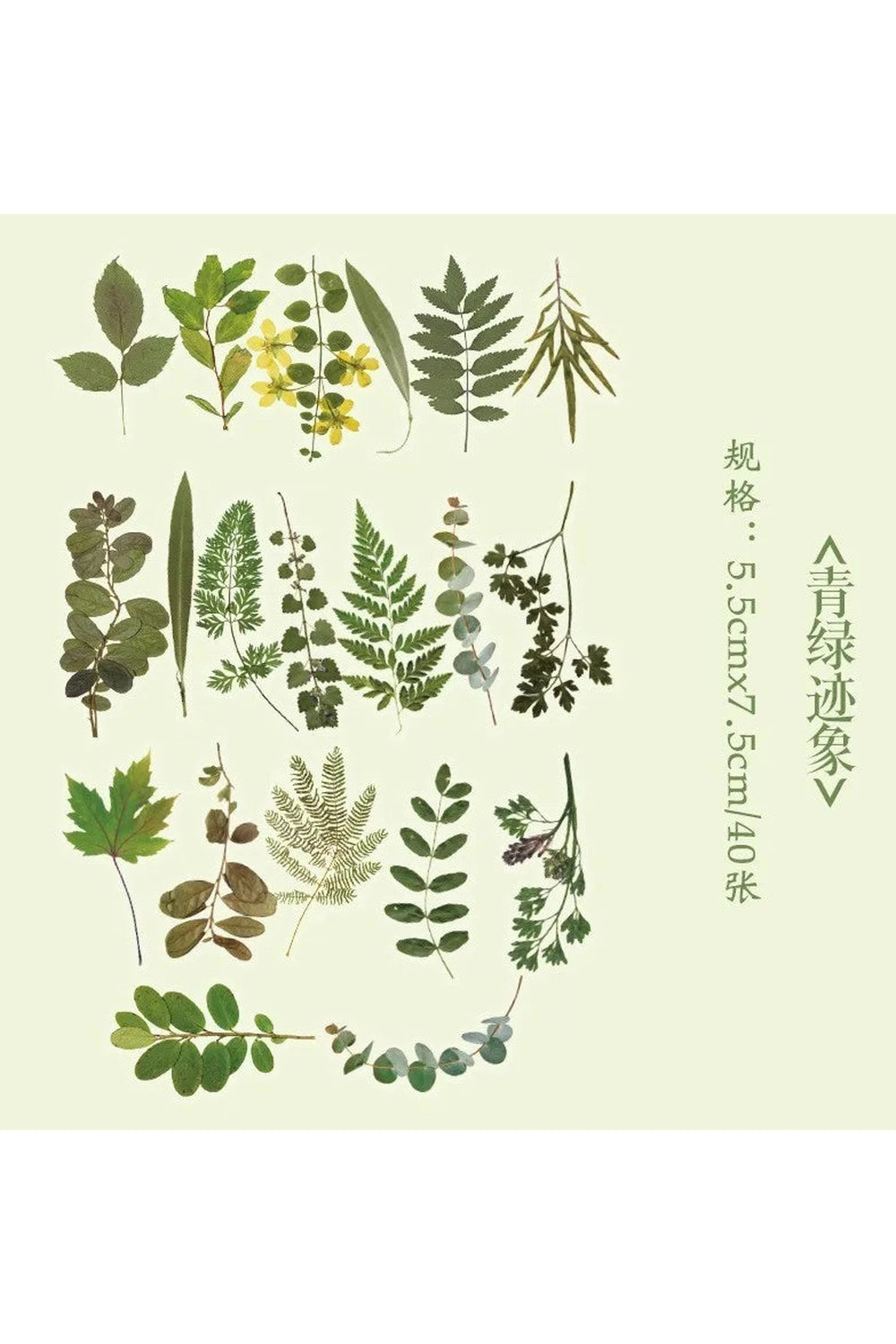 Fresh Flowers Stickers cottagecoreclothes