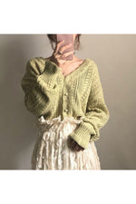 Vintage Elegant Cropped Fall Sweater cottagecoreclothes