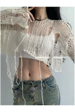 Knit Hollow Crop Fall Sweater