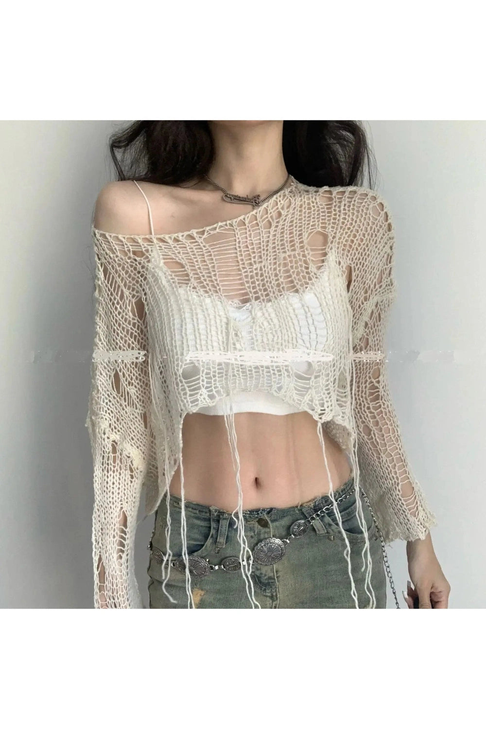 Knit Hollow Crop Fall Sweater