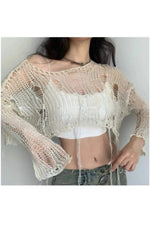 Knit Hollow Crop Fall Sweater