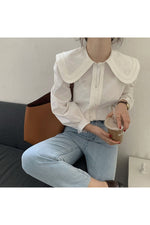 Long Sleeve Elegant Blouse